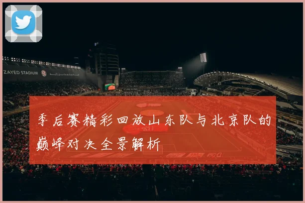 季后赛精彩回放山东队与北京队的巅峰对决全景解析
